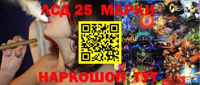 гашик Аргун
