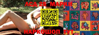 гашик Аргун