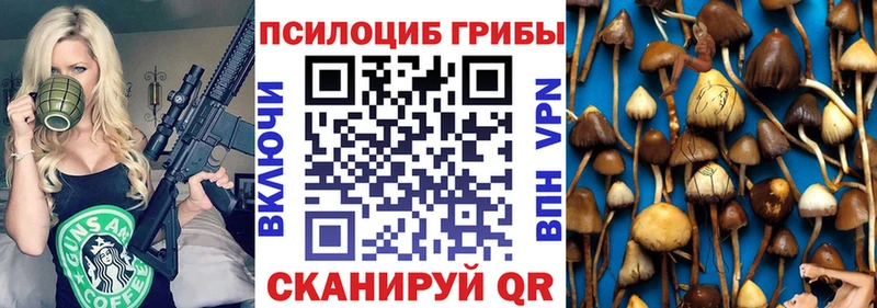 Галлюциногенные грибы прущие грибы  нарко площадка формула  Белгород 